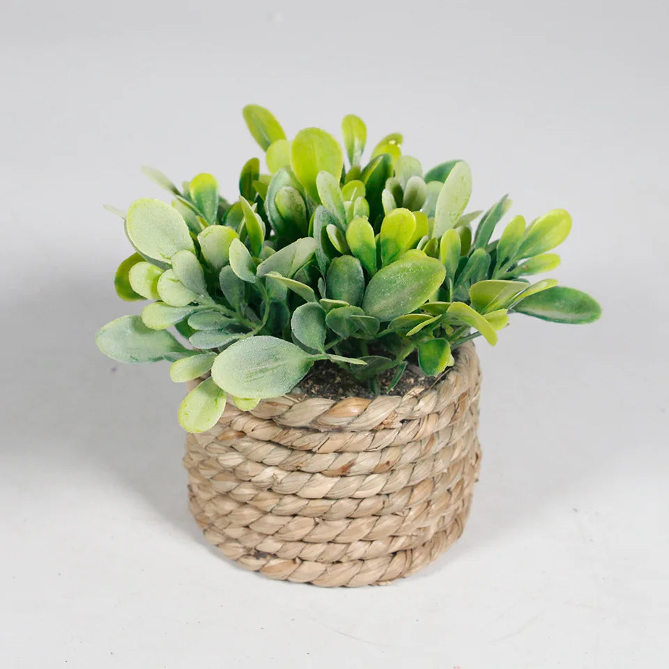 Mini Artificial Eucalyptus Plant – 11cm Faux Potted Greenery for Home Decor