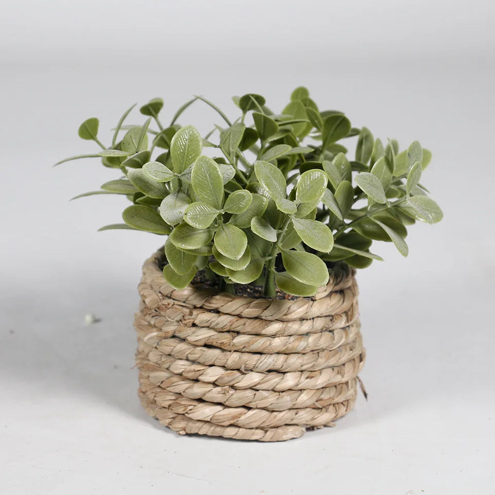 Mini Artificial Eucalyptus Plant – 11cm Faux Potted Greenery for Home Decor