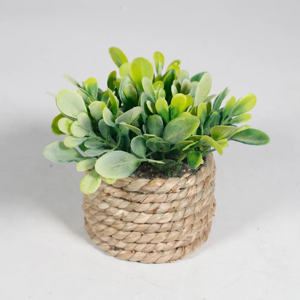 Mini Artificial Eucalyptus Plant – 11cm Faux Potted Greenery for Home Decor