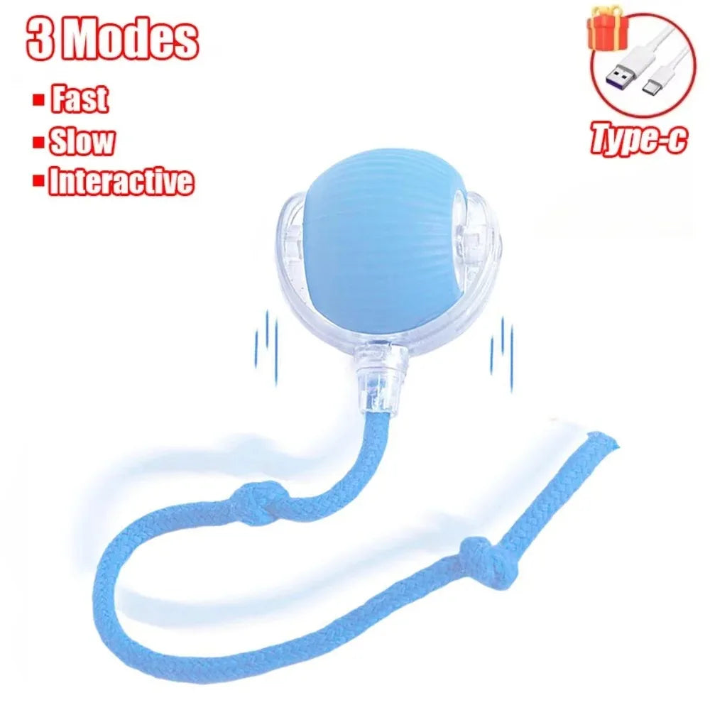 Smart Cat Interactive Rolling Ball Toy with Faux Tail - Rechargeable Automatic Pet Electric Mouse Toy for Dog & Cat Training