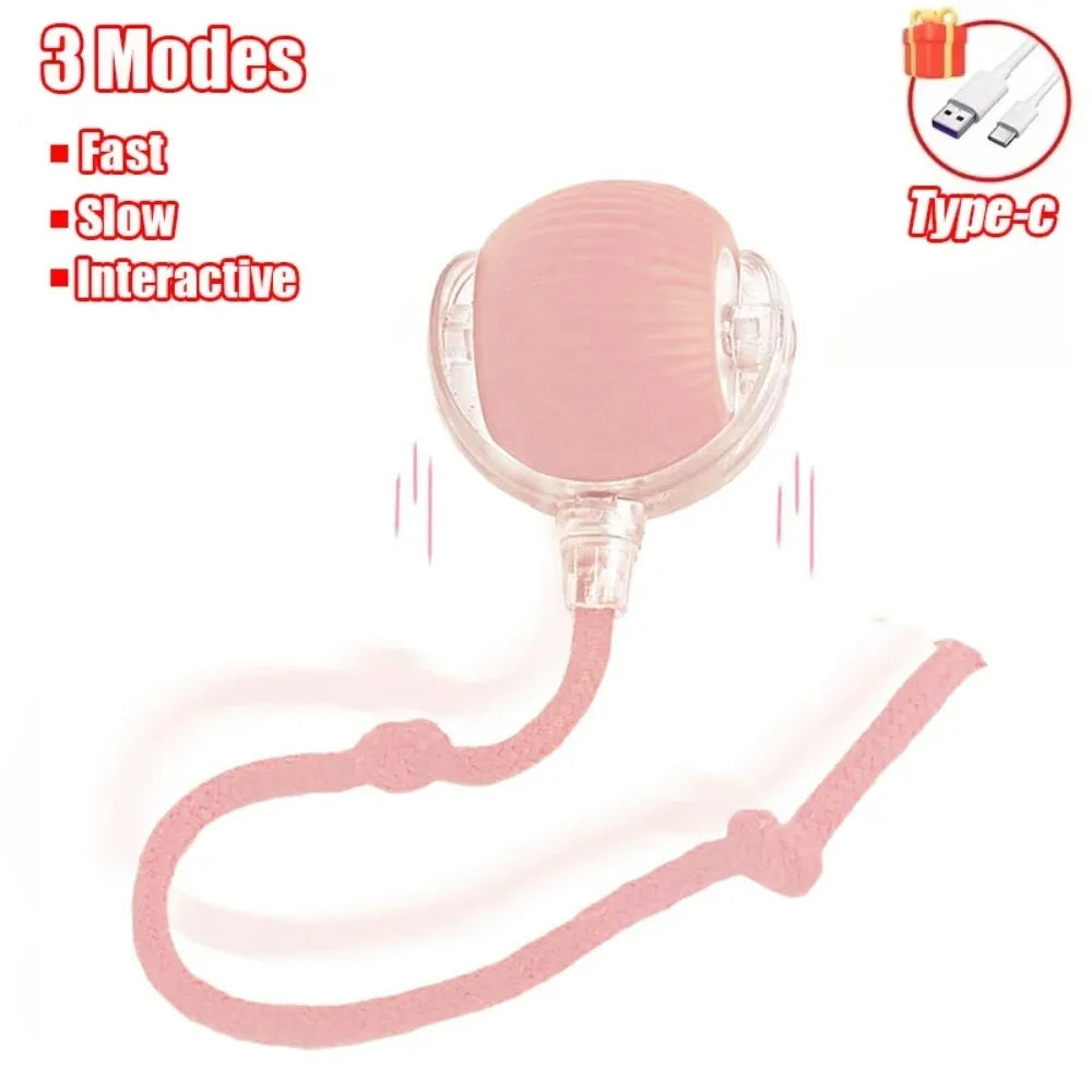 Smart Cat Interactive Rolling Ball Toy with Faux Tail - Rechargeable Automatic Pet Electric Mouse Toy for Dog & Cat Training