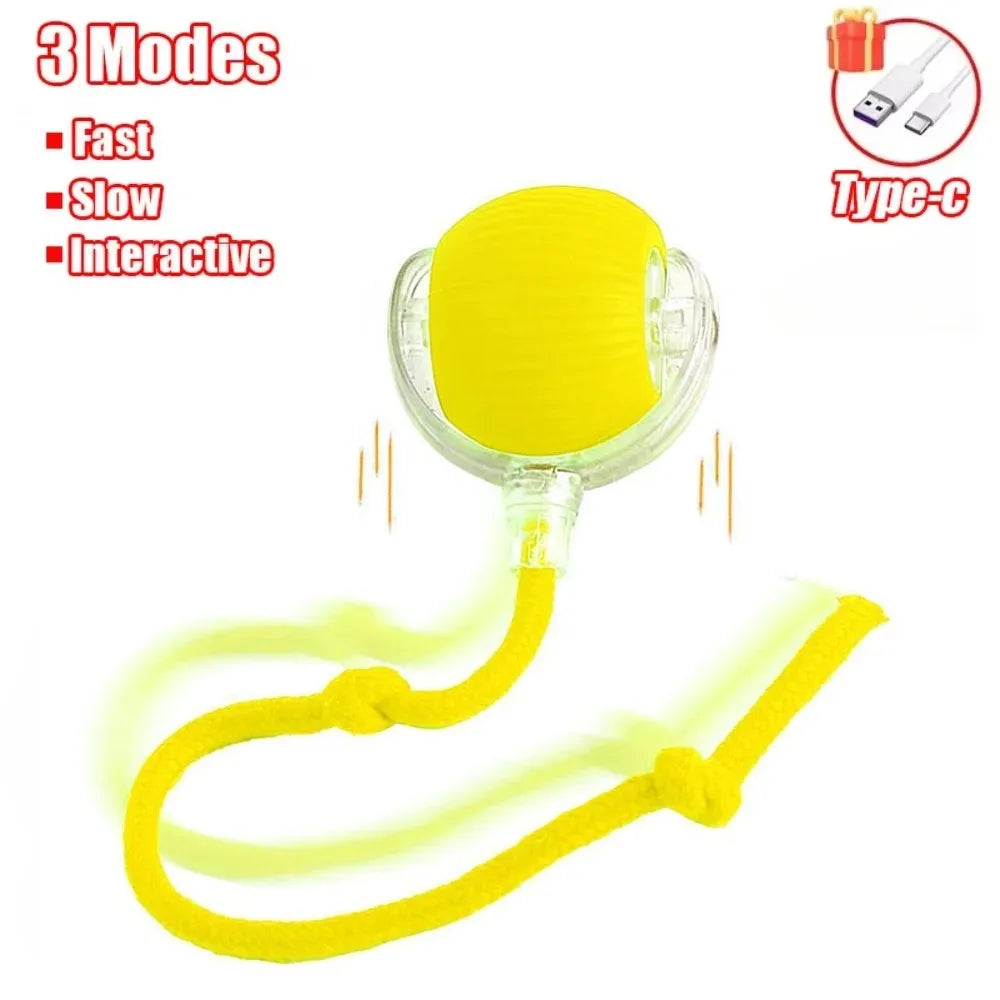 Smart Cat Interactive Rolling Ball Toy with Faux Tail - Rechargeable Automatic Pet Electric Mouse Toy for Dog & Cat Training